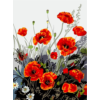 Kép 4/7 - Pipacs Virágok - számfestő készlet