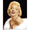 Kép 7/7 - Gyönyörű Marilyn Monroe - számfestő készlet