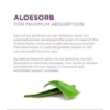 Kép 5/5 - Aloe Vera Juice ( whole Leaf )99% teljes levél 946 ml