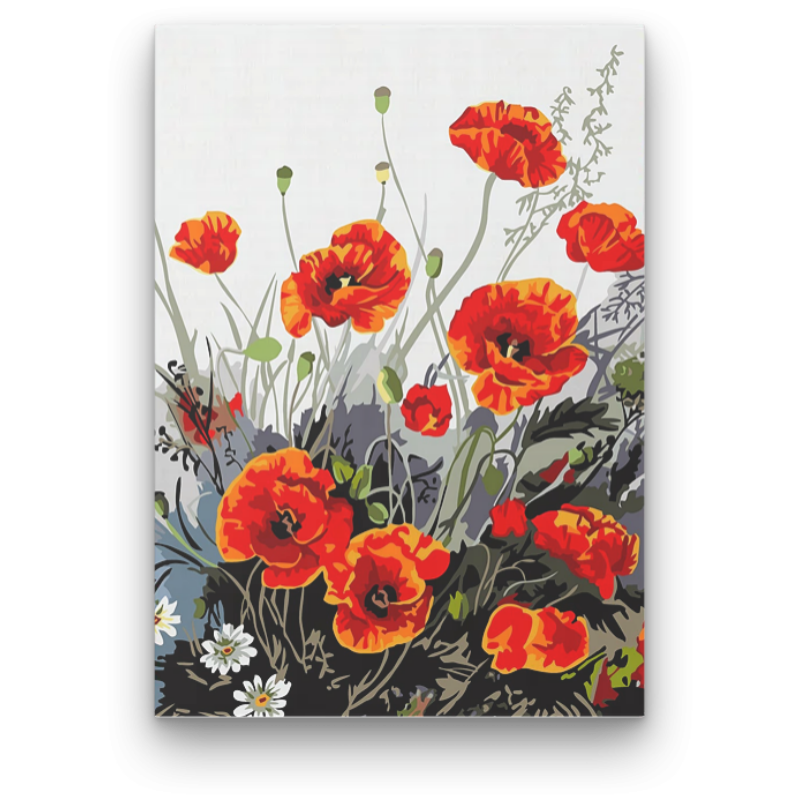 Pipacs Virágok - számfestő készlet