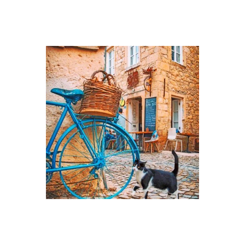 Macska És Egy Kék Bicikli - számfestő készlet