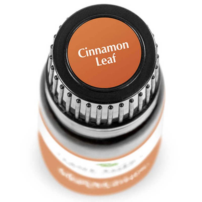 Cinnamon Leaf - Fahéjlevél illóolaj